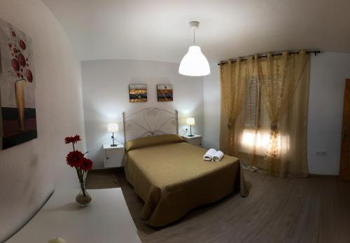 Barrosa Playa 5