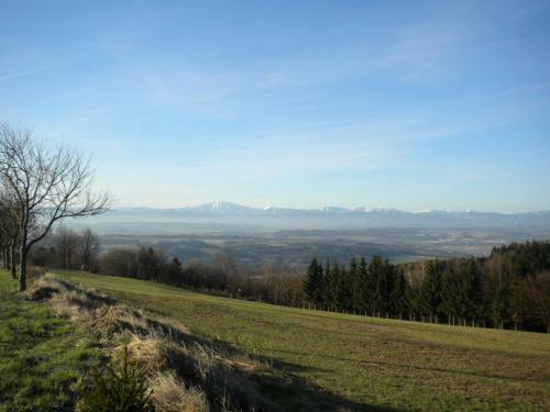Apartamento G�stezimmer Weiss