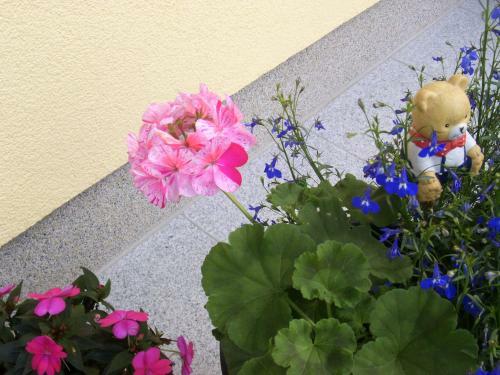 Hostal Haus Amalia