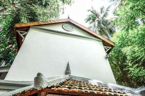 Hotel Jungle Addition