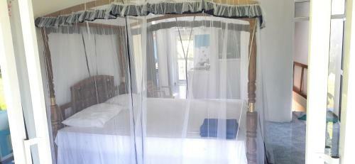 Freedom Apartment 2