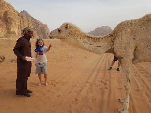 Hotel Enad Desert Camp