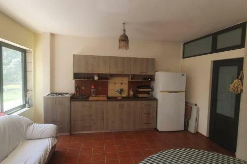 The Billiard Apartment With Beautiful Garden