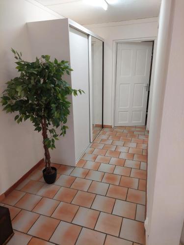Apartamento Mabouya