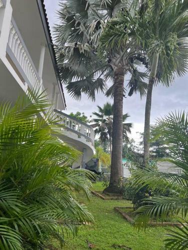 Mayaguez Spacious 3 Bedroom Villa