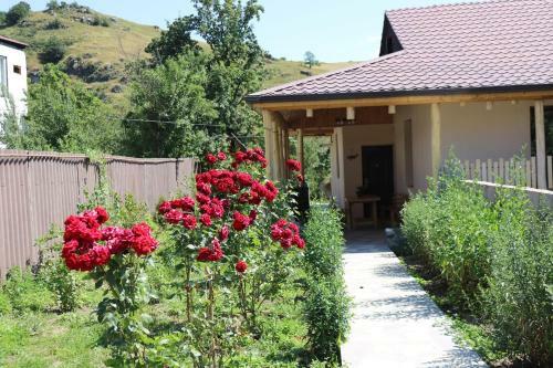 Villa Shamakhyan Dilijan