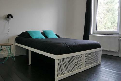 Villa Beautiful Shared House With Garden In Brussels