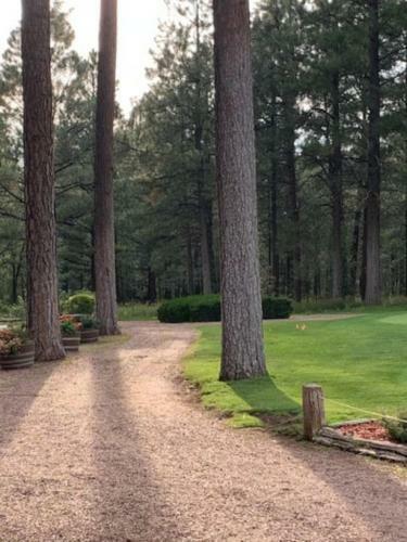 Pinescape Condo 2 Bdrm 1 Bath