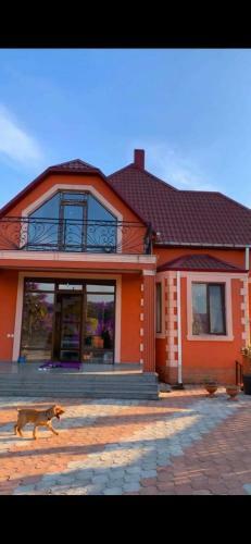 Villa Sachino