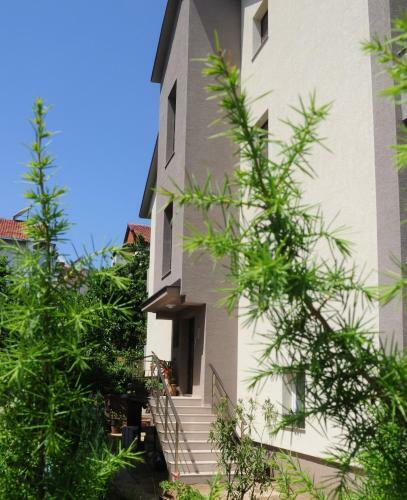 Forest Apartments