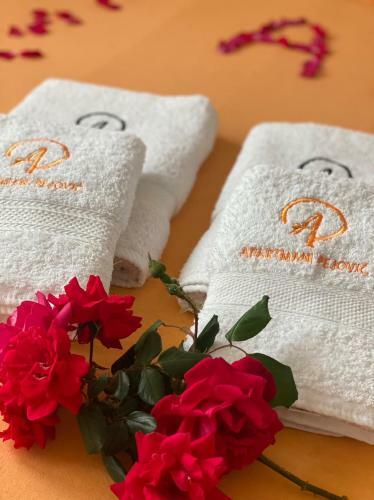 Hostal Apartmani Pejovic Sutomore