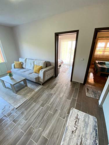 Hostal Apartments Andrea