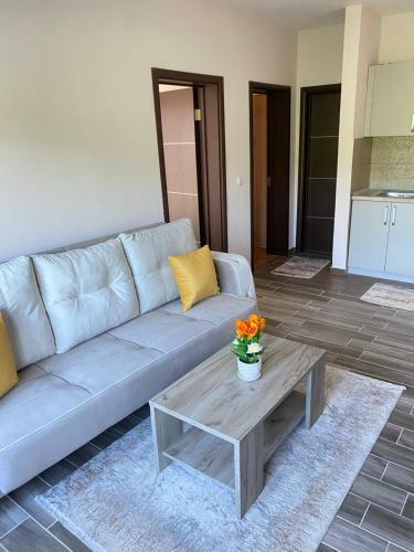 Hostal Apartments Andrea