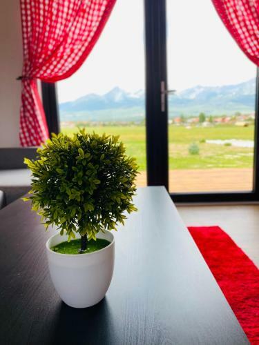 Apartamento Mar&vi