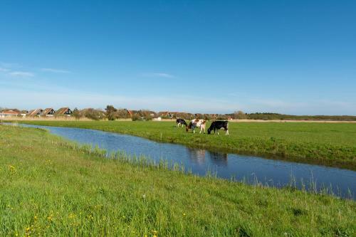Buitenplaats 103 Callantsoog