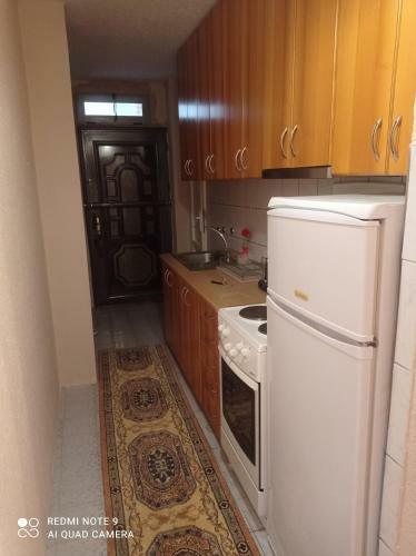 Talia's Apartment