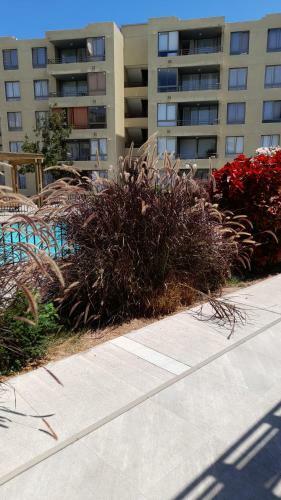 Apartamento Depto Turistas Arica