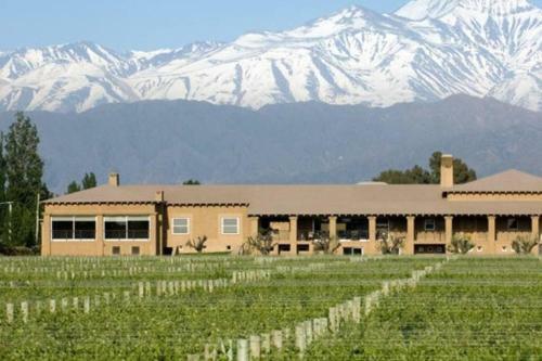 Apartamento Departamento En Tierra Malbec