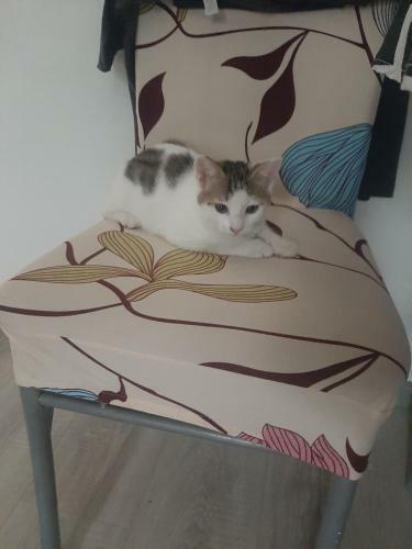 Hostal Janabanana Apartman