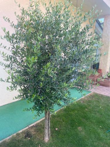 Monro Apartm�nik S Atmosf�rou