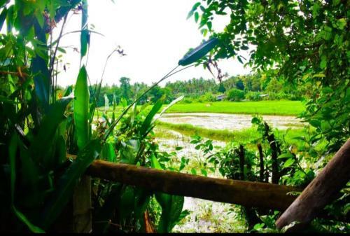 Bed & Breakfast Air Port Villa Kamatha