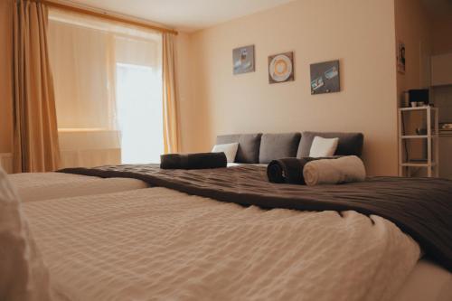 Casa Galliera - Apartment