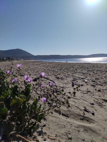 Apartamento El Nido Del Colibri
