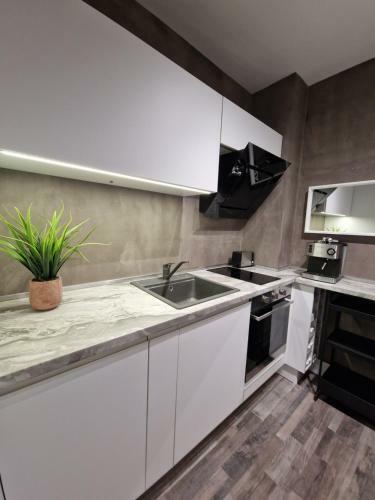 Marsselis Luxe Port Apartment