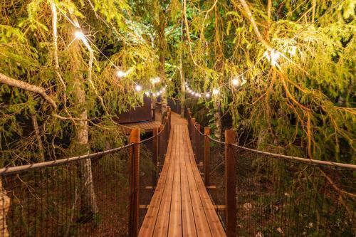 Cabane Perch�e La R�silience Sur Le Plateau Du Vercors