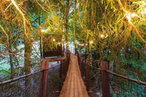 Cabane Perch�e La R�silience Sur Le Plateau Du Vercors