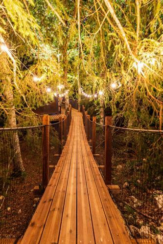 Cabane Perch�e La R�silience Sur Le Plateau Du Vercors