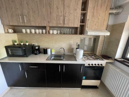 Apartamento The Mirror - Quiet & Friendly Place In Copou