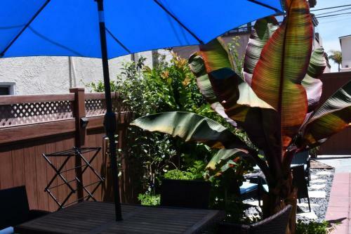 Apartamento Private Beach Studio