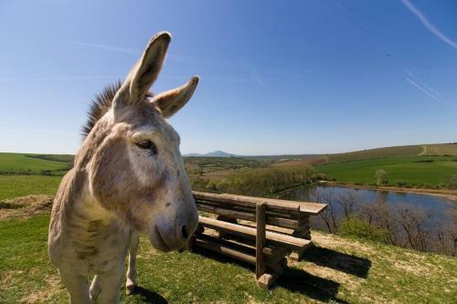 Agroturismo Apartm�ny Na Farm?