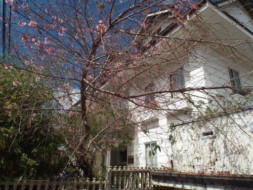 Khanh Lam Tourist Villa