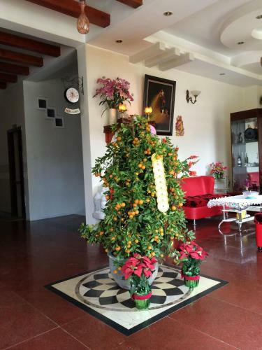 Green Valley Hotel