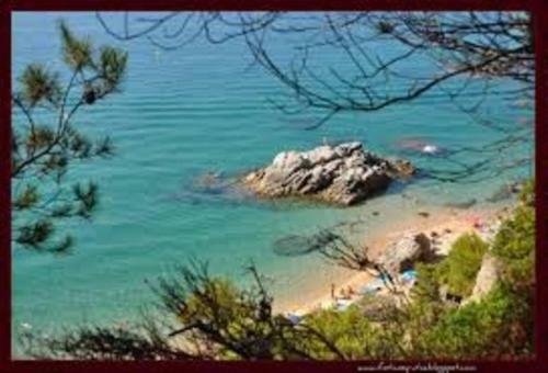 Apartamento En Blanes Con P�rquing