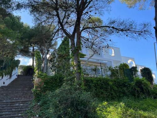 Villas Cosette Villa Cala Cristus