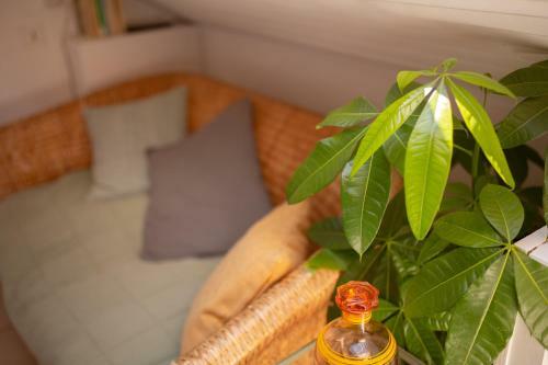 Apartamento Studio Cocon Sous Les Toits De Jaur�s