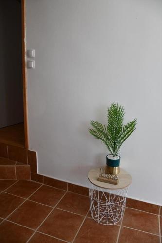 Hostal Luma Rooms