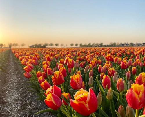 Boerenslag 19 Sint Maartenszee