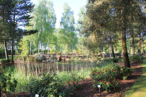 Agroturismo Dworek Azalia