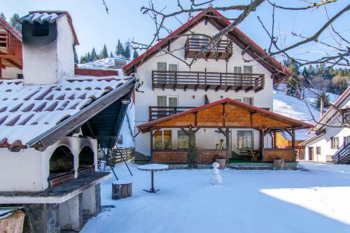 Hostal Vila Mesteacanul