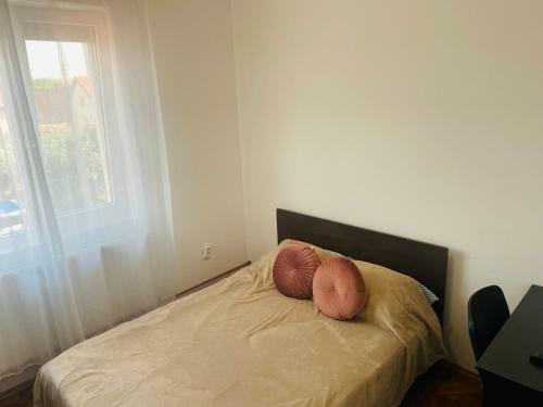 Apartament Valentina Central