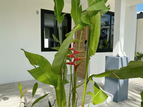 Hotel Pearl Of Samui Resort