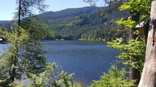 Apartamento Ferienwohnung Grimmingblick