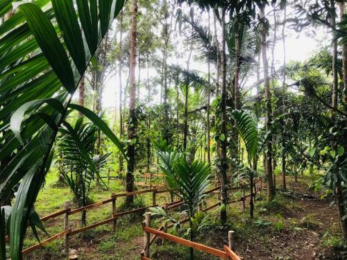Livin Hub Homestay
