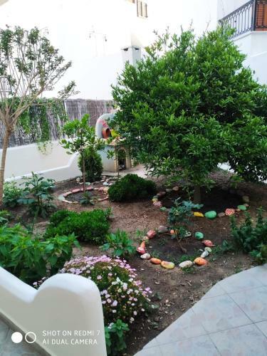 Apartamento Stella?s Guesthouse