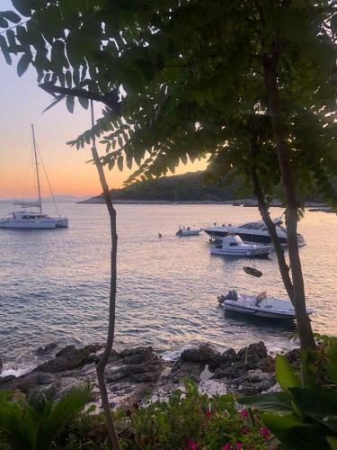 Apartman Saba U Apartmanskom Objektu, Otok Hvar