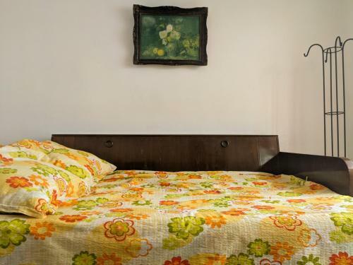 Moss's Lovely Studio Apartment